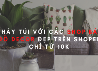 Top 12 shop bán đồ decor đẹp, uy tín, giá rẻ trên Shopee không nên bỏ qua