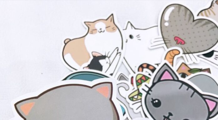 Top 10 shop bán sticker rẻ đẹp trên Shopee shop bán sticker trên shopee