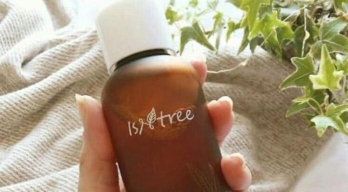 Review Isntree Green Tea Fresh Toner tưởng quen mà hóa lạ