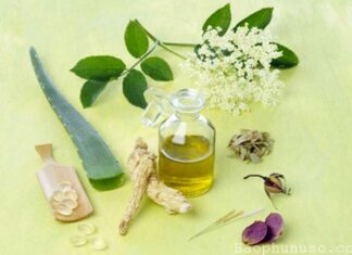 Hướng dẫn làm mặt nạ nha đam dầu oliu