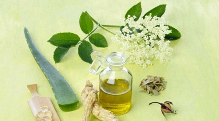 Hướng dẫn làm mặt nạ nha đam dầu oliu