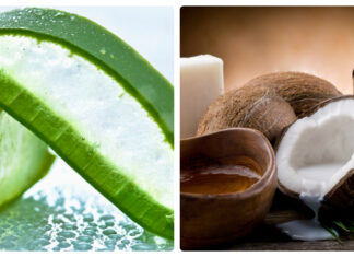 Hướng dẫn làm mặt nạ nha đam dầu dừa