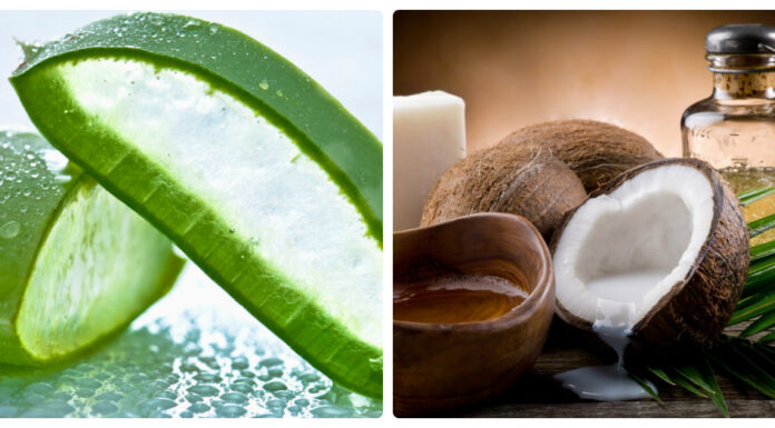 Hướng dẫn làm mặt nạ nha đam dầu dừa