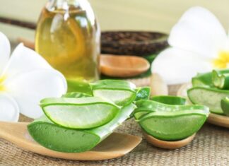 Hướng dẫn làm mặt nạ lô hội cho da khô