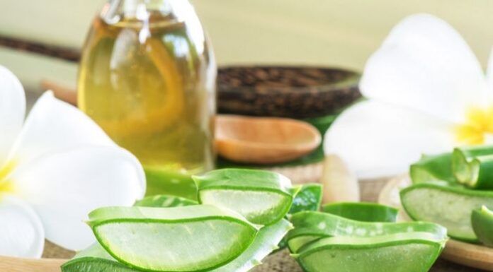 Hướng dẫn làm mặt nạ lô hội cho da khô