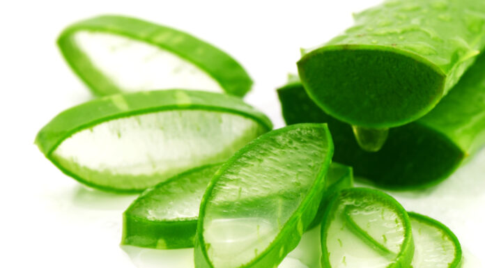 Hướng dẫn làm mặt nạ lô hội cho da dầu