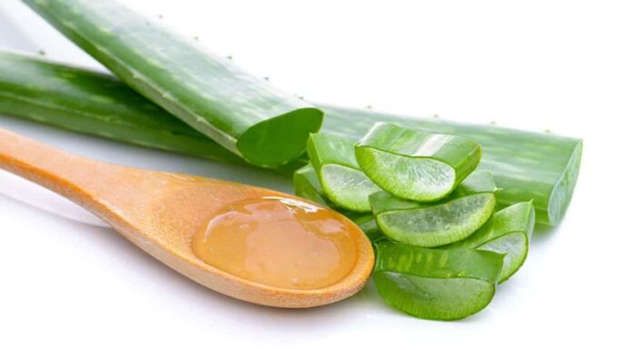 Hướng dẫn làm mặt nạ nha đam sữa ong chúa