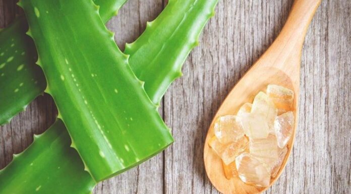 Hướng dẫn làm mặt nạ nha đam và bột nghệ