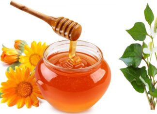 Hướng dẫn làm mặt nạ mật ong diếp cá