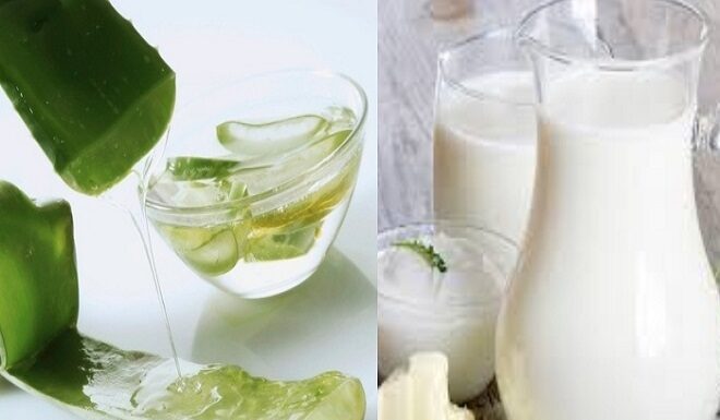 Hướng dẫn làm mặt nạ nha đam sữa tươi