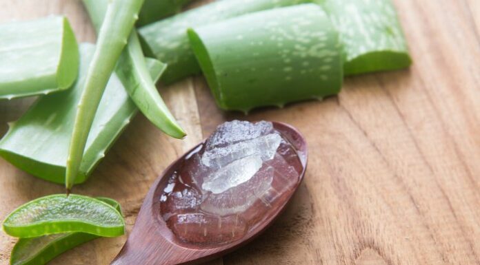 Hướng dẫn làm mặt nạ giấy lô hội