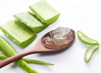 Hướng dẫn làm mặt nạ bùn lô hội