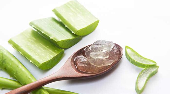 Hướng dẫn làm mặt nạ bùn lô hội