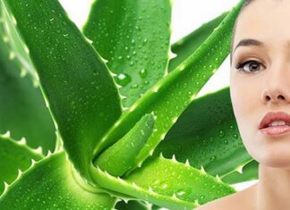 Hướng dẫn làm mặt nạ nha đam trị sẹo