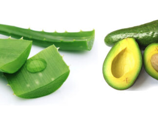 Hướng dẫn làm mặt nạ nha đam bơ