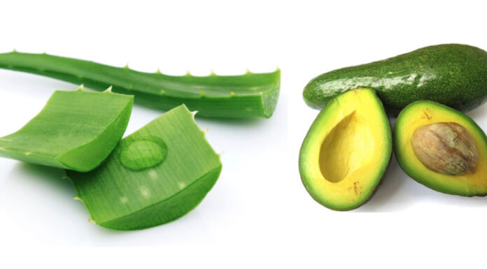 Hướng dẫn làm mặt nạ nha đam bơ