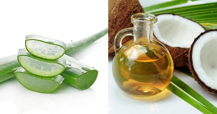 Hướng dẫn làm mặt nạ dầu dừa dưỡng da tại nhà