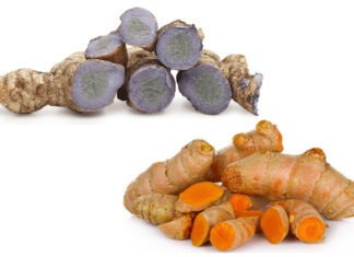 Nên đắp mặt bằng nghệ đen hay nghệ vàng?