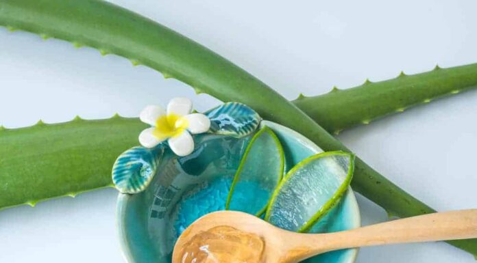 Hướng dẫn làm mặt nạ nha đam ngâm giấm