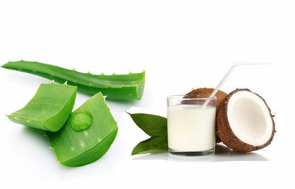 Hướng dẫn làm mặt nạ dầu dừa lô hội