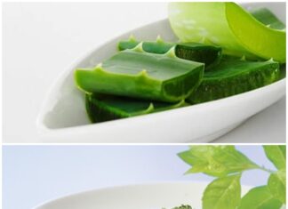 Hướng dẫn làm mặt nạ nha đam trà xanh