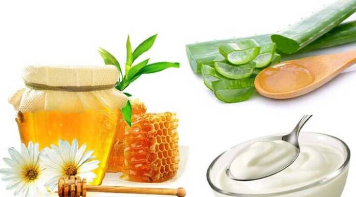 Hướng dẫn làm mặt nạ nha đam mật ong sữa chua