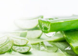 Hướng dẫn làm mặt nạ nha đam mật ong sữa tươi