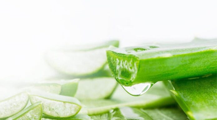 Hướng dẫn làm mặt nạ nha đam mật ong sữa tươi