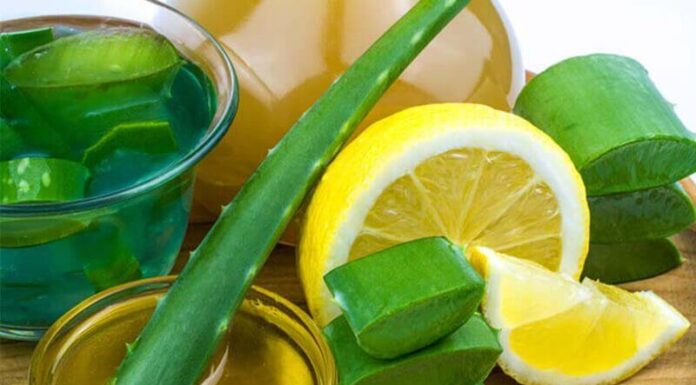 Đắp nha đam với gì để dưỡng trắng da?