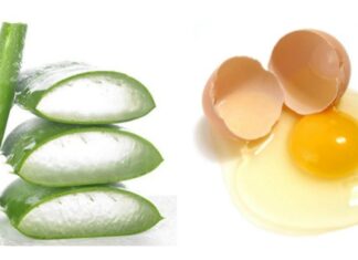 Hướng dẫn làm mặt nạ nha đam và trứng gà