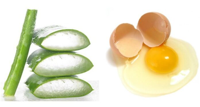 Hướng dẫn làm mặt nạ nha đam và trứng gà