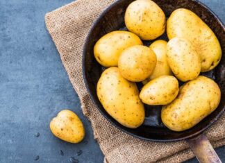 Hướng dẫn làm mặt nạ khoai tây mật ong dầu dừa