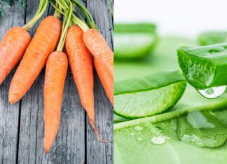 Hướng dẫn làm mặt nạ cà rốt nha đam